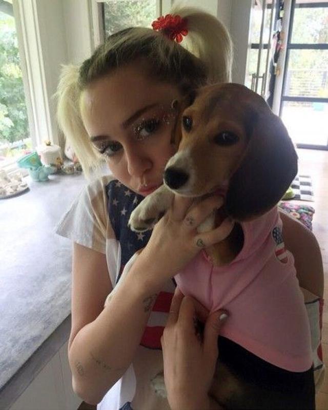 画像: 70ヵ国で1位の歌手マイリー、新しい愛犬は婚約者の愛犬とも相思相愛♥
