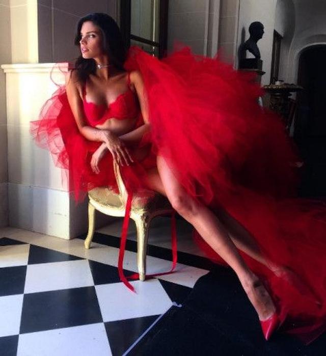画像: Ⓒ Sara Sampaio