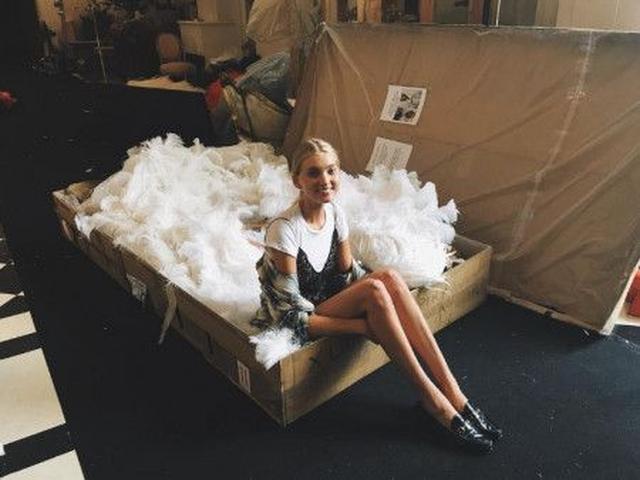 画像: ⒸEliza Hosk
