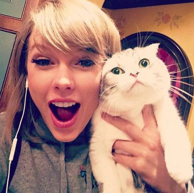 画像: メレディスは2011年から飼っている猫。名前の由来はテイラーが好きなドラマ『グレイズ・アナトミー』の主人公からとったもの。