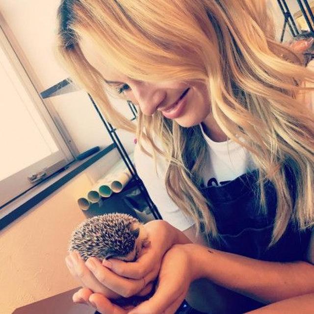 画像: ハリネズミ・カフェでふれあいタイムを満喫