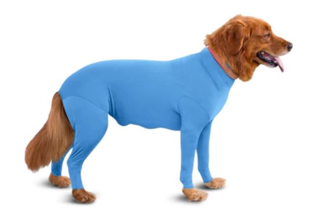 画像: 意外にも画期的!海外で「全身レオタード犬」が増殖している理由って?
