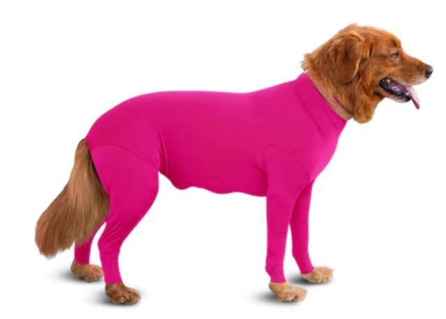 画像: カラーバリエーションは8種類。超小型犬用のミニサイズから大型犬のXXLまでのサイズ展開。ちなみに、下腹部にはジッパーがついており、トイレの際には開閉が可能となっている。©Shed Defender