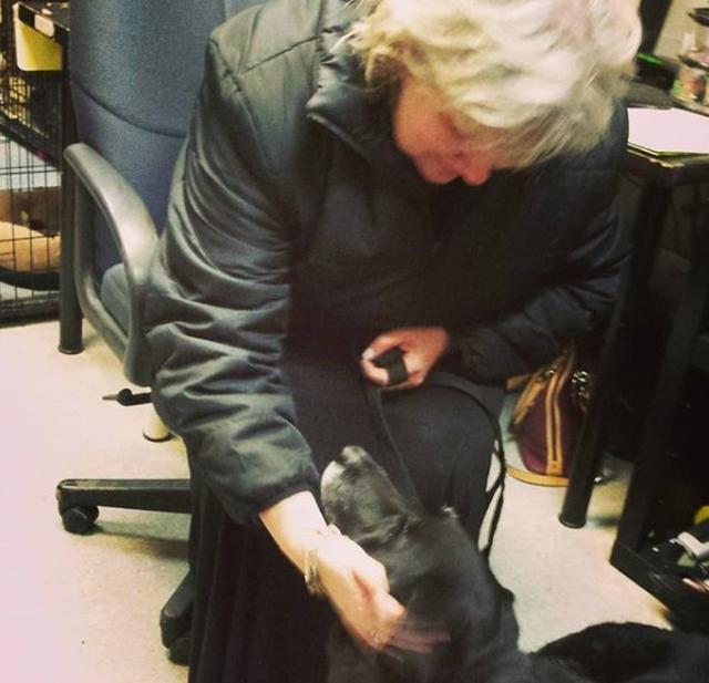 画像: デボラと再会するアビー。©instagram/animalprotectorsshelter