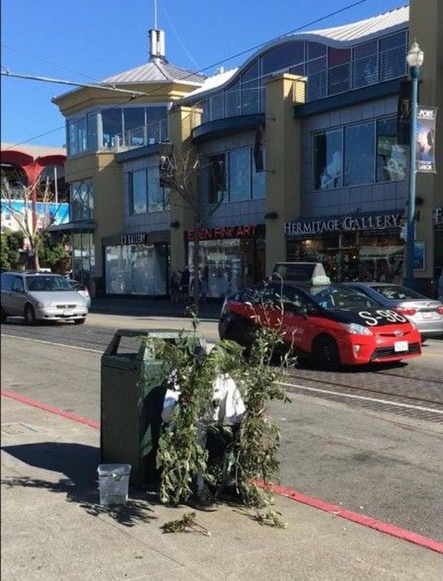 画像: サンフランシスコで有名なブッシュマン。