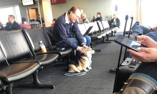 画像1: 空港で見知らぬ男性に寄り添うコーギー犬、その理由に感動