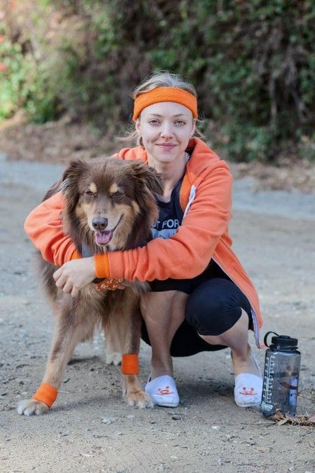 画像6: 『レミゼ』女優のアマンダ・サイフリッドが「犬猫 殺処分ゼロ」運動に参加