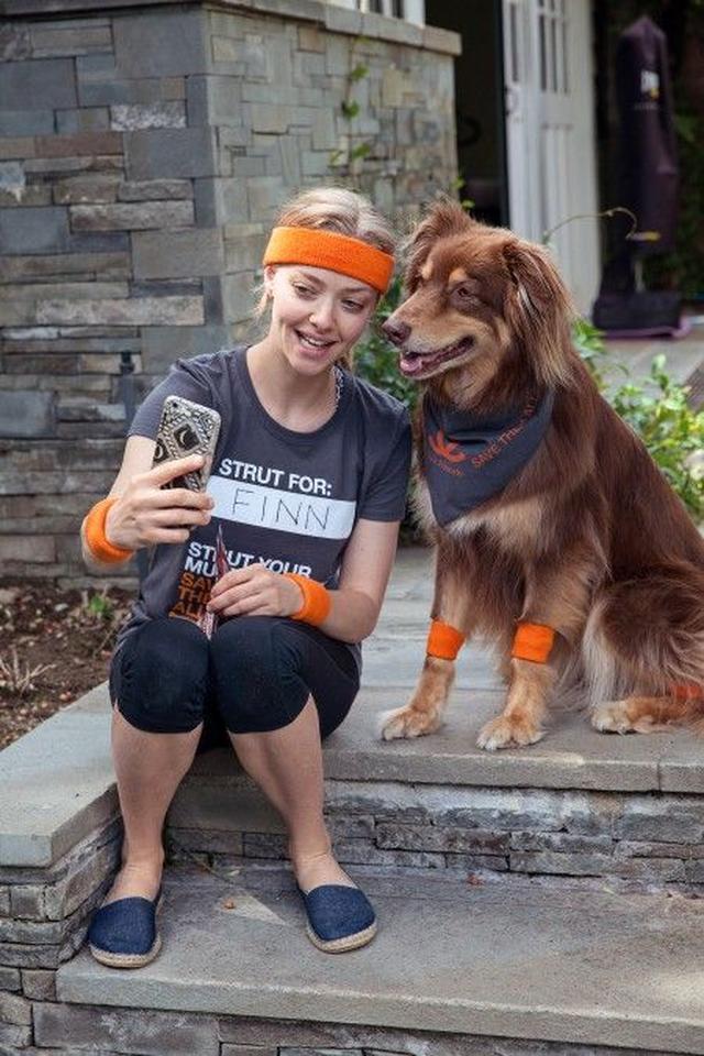 画像1: 『レミゼ』女優のアマンダ・サイフリッドが「犬猫 殺処分ゼロ」運動に参加