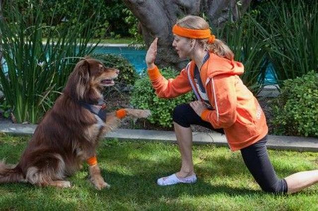 画像2: 『レミゼ』女優のアマンダ・サイフリッドが「犬猫 殺処分ゼロ」運動に参加