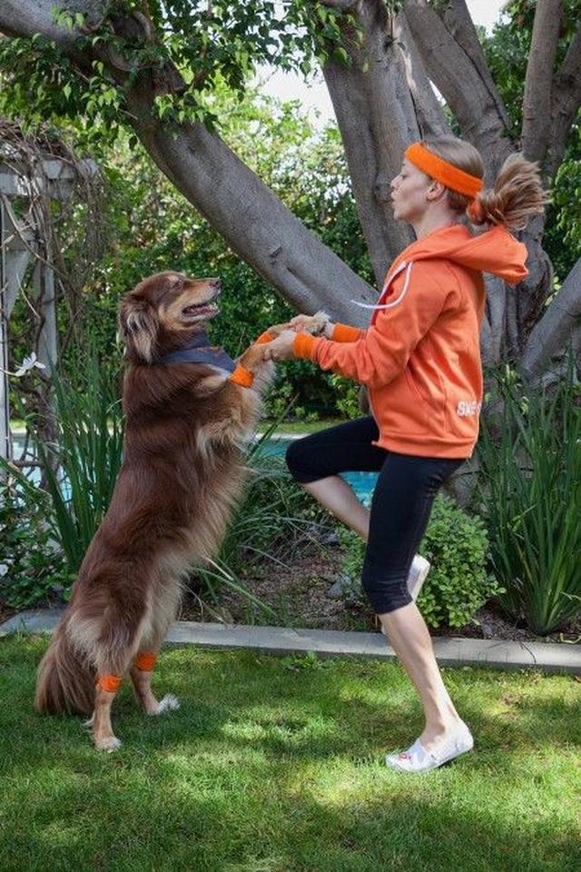 画像4: 『レミゼ』女優のアマンダ・サイフリッドが「犬猫 殺処分ゼロ」運動に参加