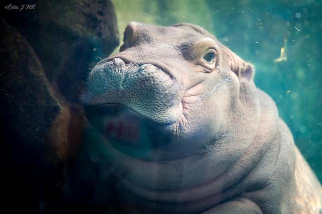画像: プロポーズの瞬間に写りこむ「あるもの」が可愛すぎて注目を浴びる