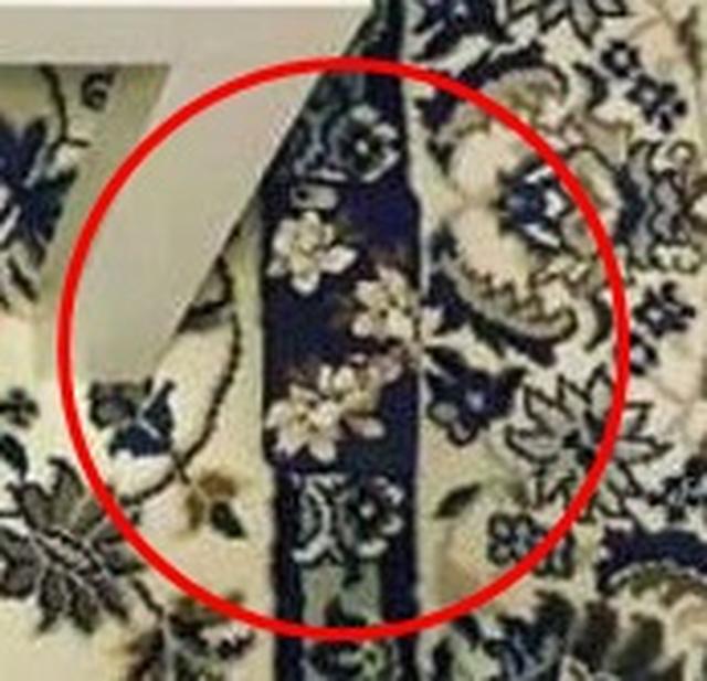画像: このラグに隠れている携帯をあなたは見つけられますか?