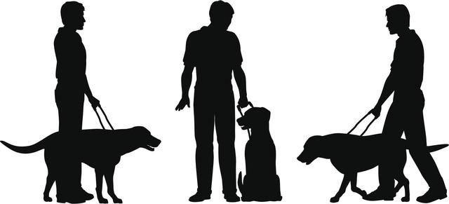 画像2: 盲導犬の頑張りに涙