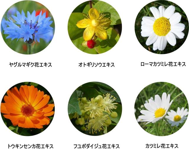 画像5: セレブたちが今注目するのは 「ボタニカル」 なホワイトニング!