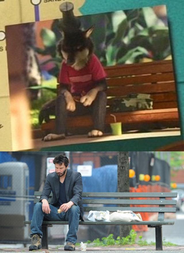 画像: www.reddit.com