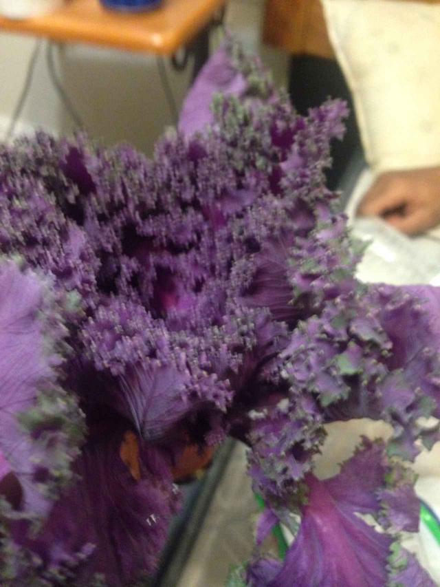 画像: 実際に男性が恋人の女性に贈った花束の写真。 twitter.com
