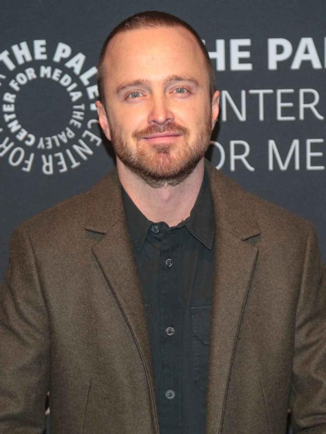画像2: 『ブレイキング・バッド』アーロン・ポール、超話題作『ウエストワールド』に出演決定