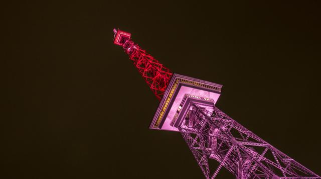画像: 11日の国際ガールズ・デーを記念して、毎年、世界各地でモチーフカラーのピンク色のライトアップが実施される。写真はドイツのベルリンテレビ塔。