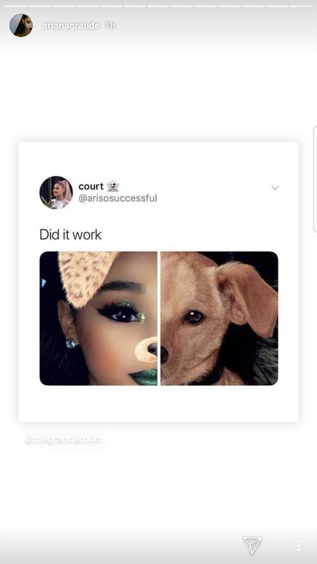 画像2: アリアナ・グランデ、愛犬と似ている?ある写真が証明する「飼い主と犬は似る」説