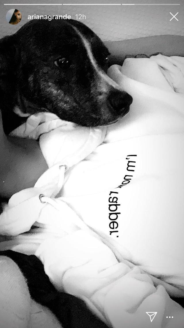画像: ©Ariana Grande/Instagram