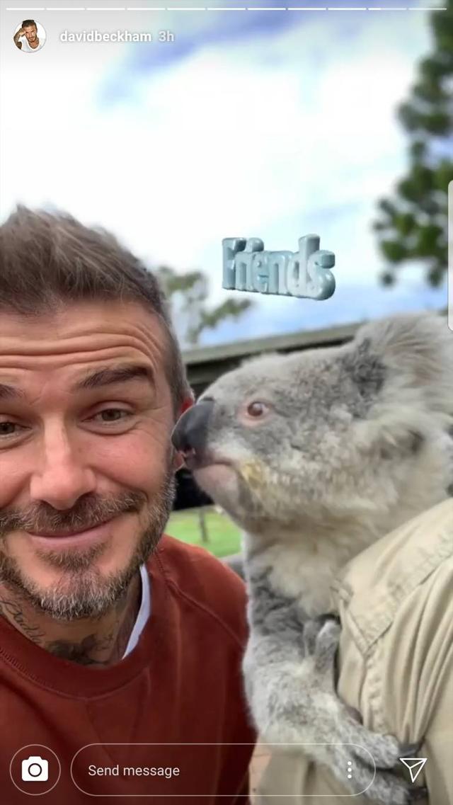画像1: デビッド・ベッカム、イケメン×動物は無敵ということを証明