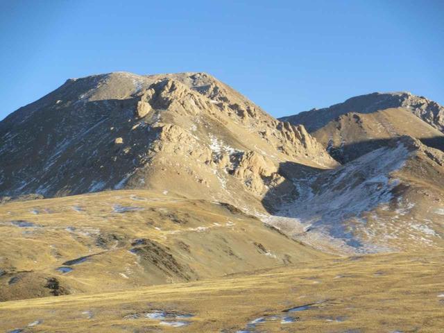 画像: モンゴリアンベリーが摂れる、アルタイ山脈