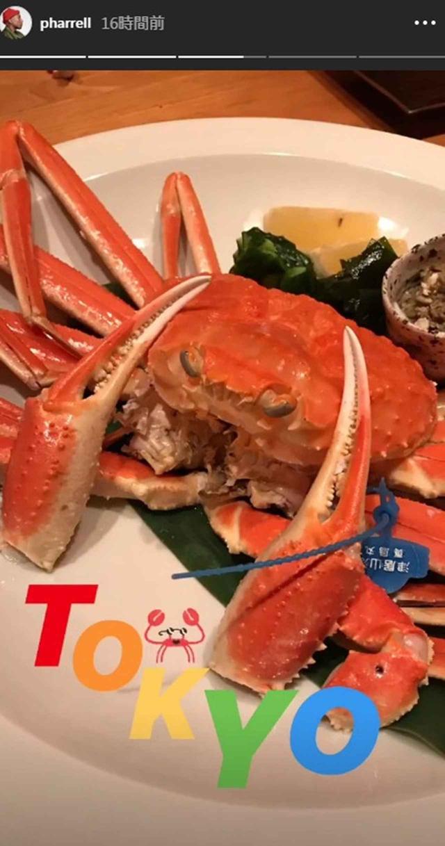 画像: セレブたちの来日が止まらない!最近来日したセレブたちを総まとめ
