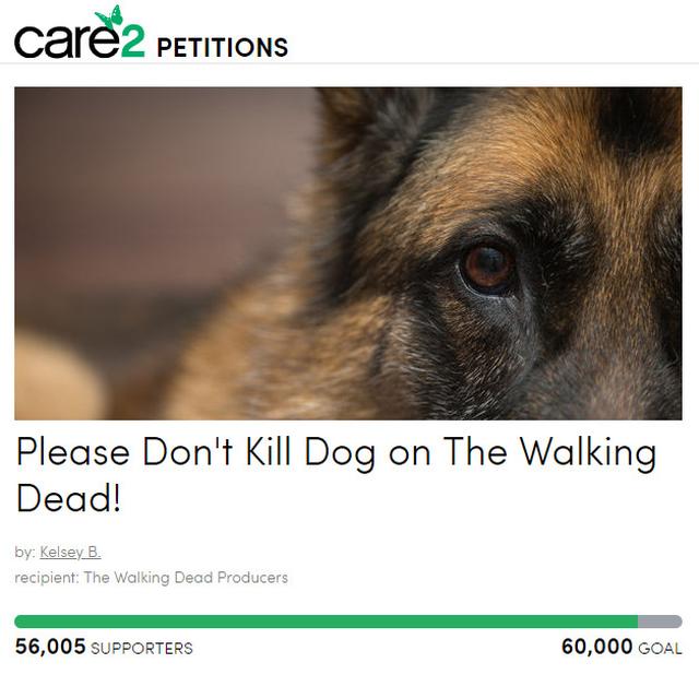 画像: ©care2petitions