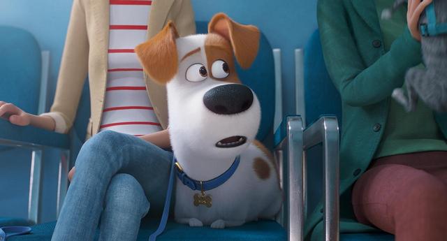 画像: 『ペット』最新作の公開が決定