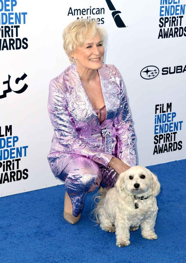 画像2: グレン・クローズの愛犬、授賞式で自由に動き回る姿が可愛すぎる
