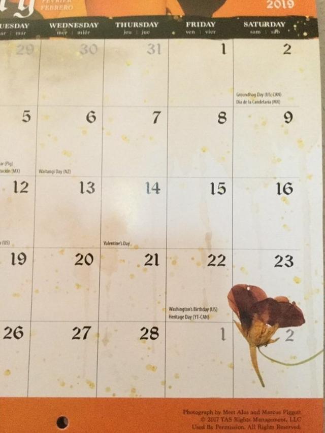 画像: 2月のページの最後の段の3月2日の欄にはなぜか「押し花」の印が。©BeFearlessBeYou/Twitter twitter.com