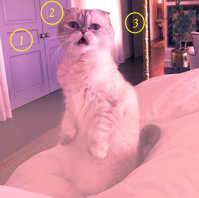 画像: ドアが「3」枚?