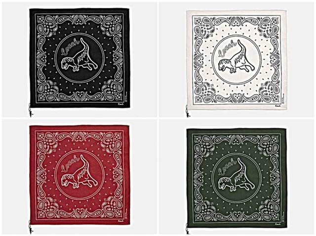 画像1: コーチから、アイコンキャラクター恐竜レキシーのコレクション発売(全アイテム見せます!)