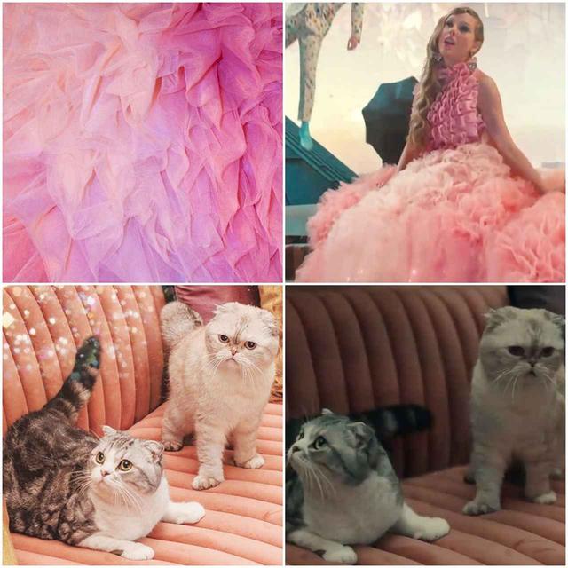 画像2: ©Taylor Swift / instagram, YouTube
