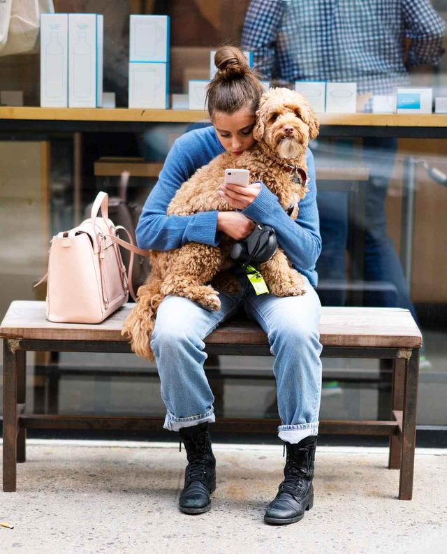 画像7: 溺愛する愛犬とブルーボトルコーヒーへ