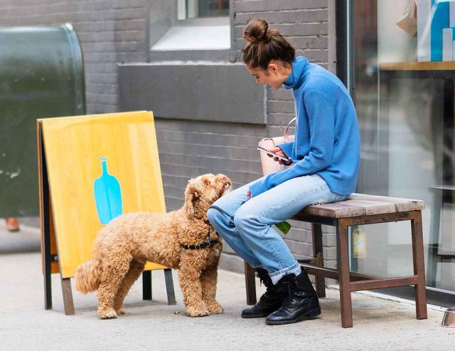 画像4: 溺愛する愛犬とブルーボトルコーヒーへ