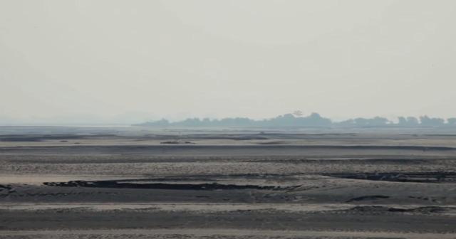 画像1: 40年間苗を受け続けた男性、荒地が東京ドーム118個分の森林に【環境デー】
