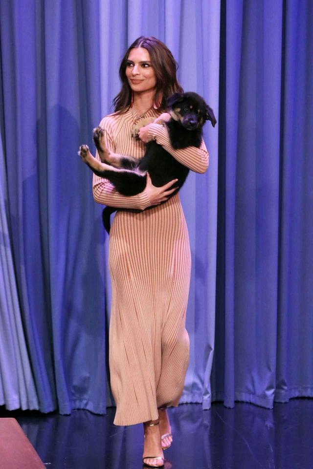 画像5: エミリー・ラタコウスキーが愛犬にメロメロ♡おしゃれなリードに注目