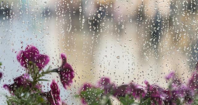 画像: メイクが崩れる梅雨に買い足すべき「意外なコスメ」とは?