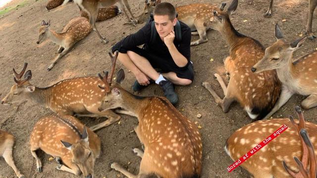 画像1: ©Dylan Sprouse/Instagram