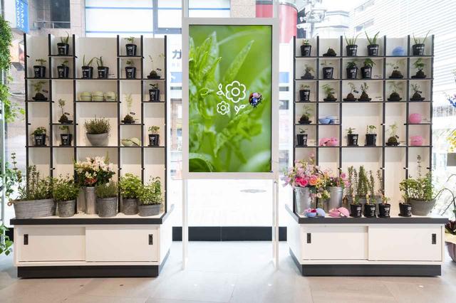 画像1: LUSHが展開する「こだわりの花」