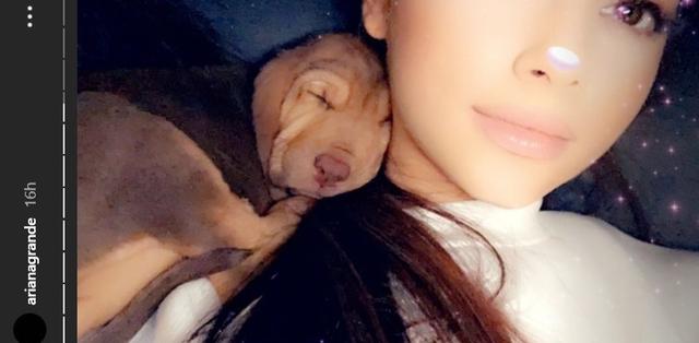 画像2: ©Ariana Grande/ Instagram