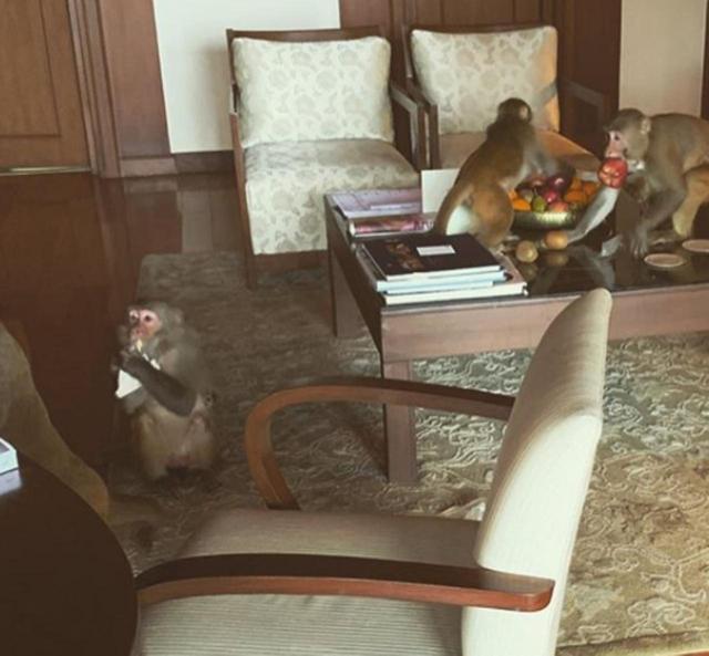 画像2: ⒸEmilia Clarke/Instagram