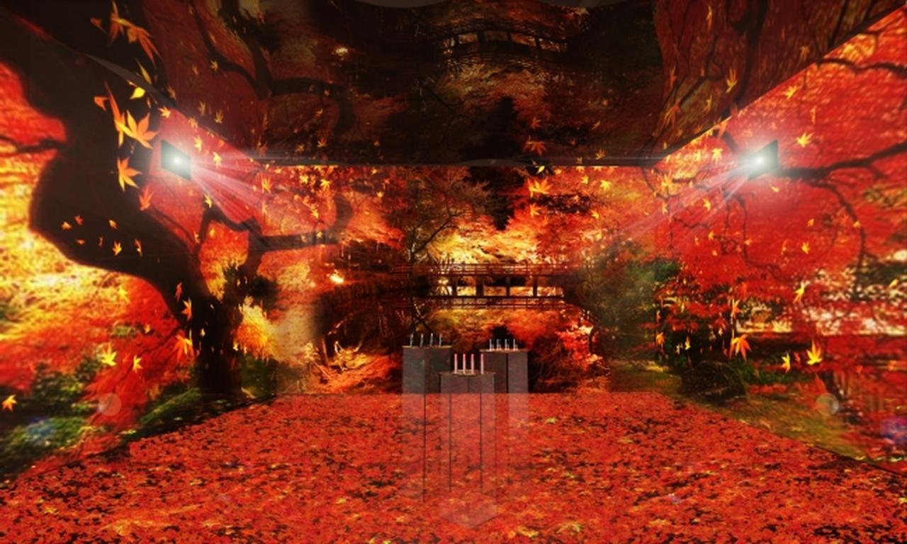 画像3: 『アルマーニ ビューティ KOYO』紅葉がテーマのポップアップストア2日間限定で