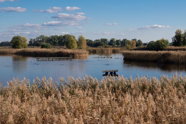 画像: イギリス、湖水地方