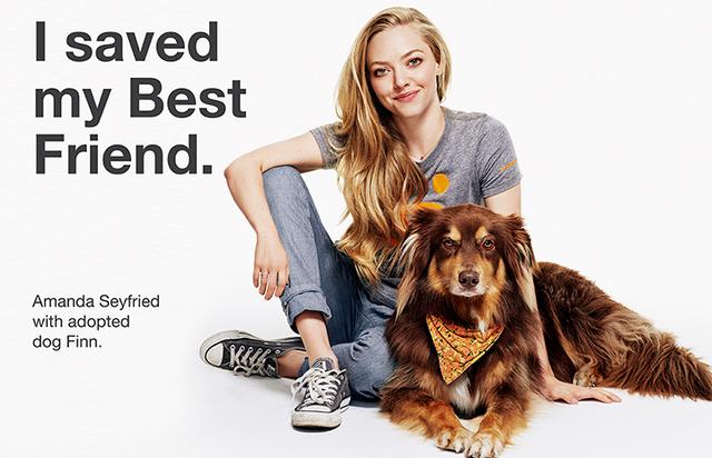 画像: 俳優のアマンダ・サイフリッドと保護犬のフィン。ペットの里親になることを推進する団体の「私は親友を救った」という広告に揃って出演したときの一枚。