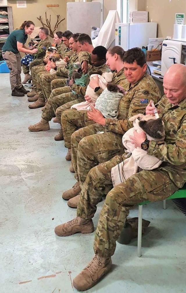 画像1: ⒸAustralian Army/Facebook