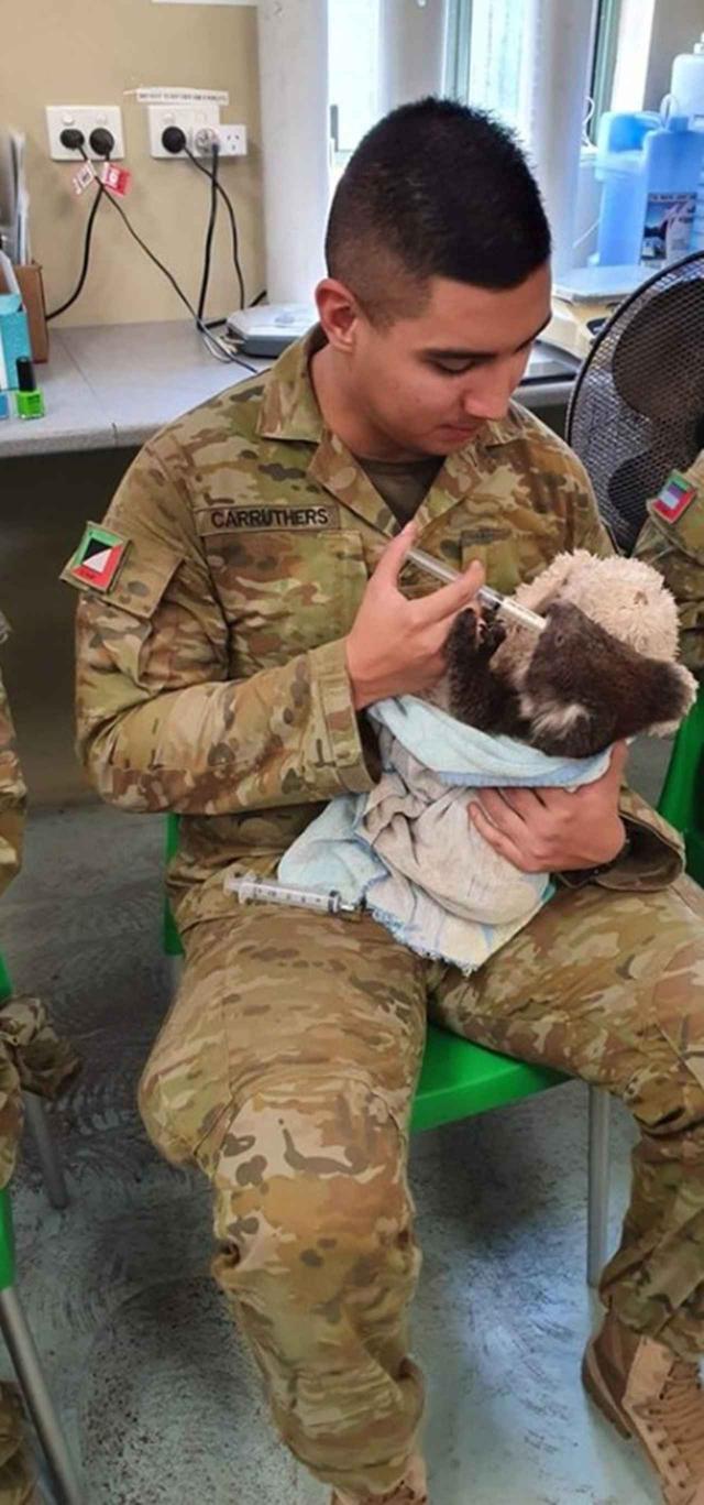 画像3: ⒸAustralian Army/Facebook