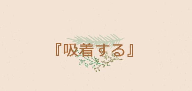 画像2: 重宝される理由 「クレイ」の優れた美容効果