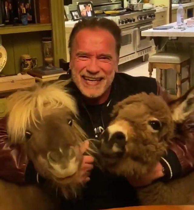 画像: Photo:©︎Arnold Schwarzenegger/Twitter